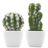 Kunstplant    cactus     assortie 11 cm H